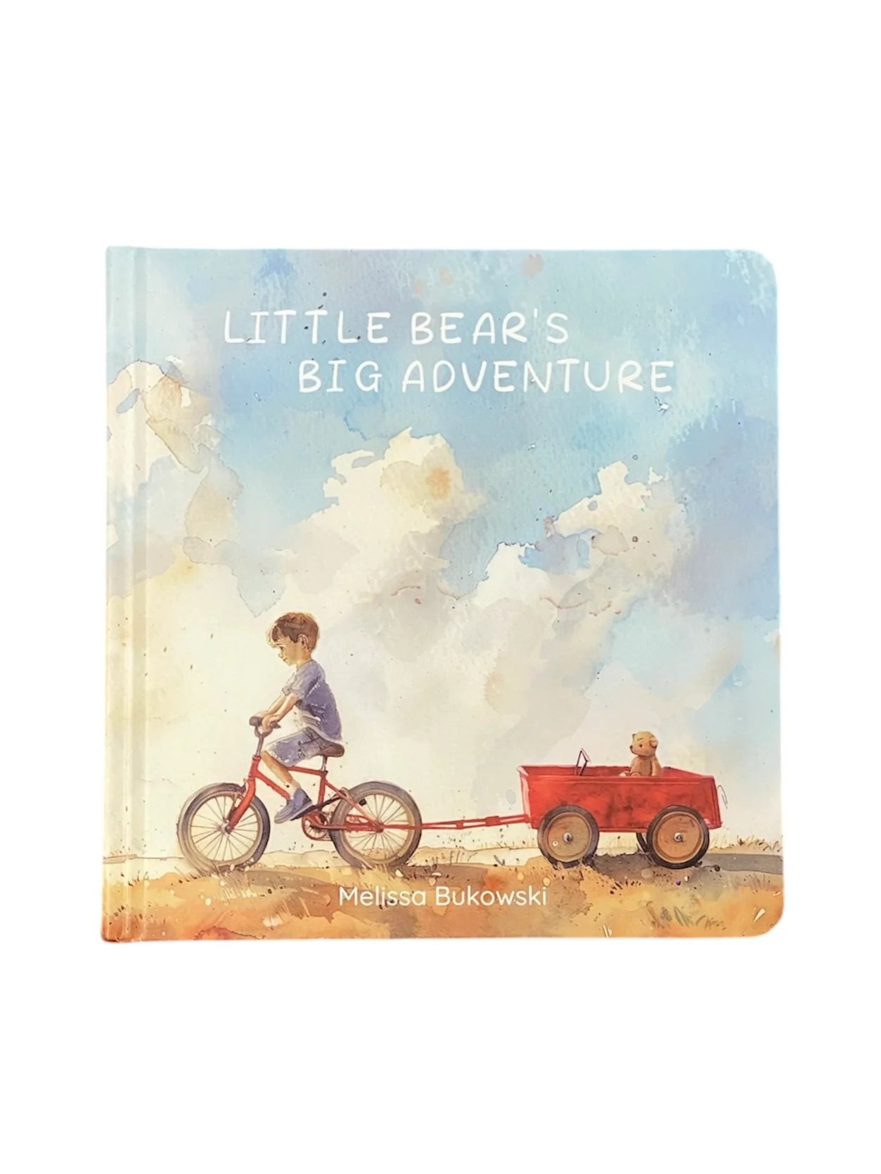 Little Bear's Big Adventure Book