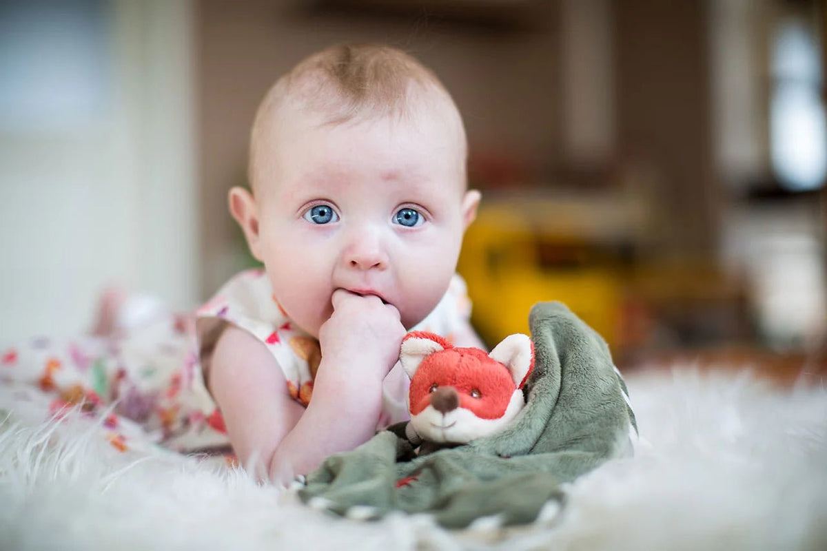 Foxy Baby Rug - OLIVIA'S