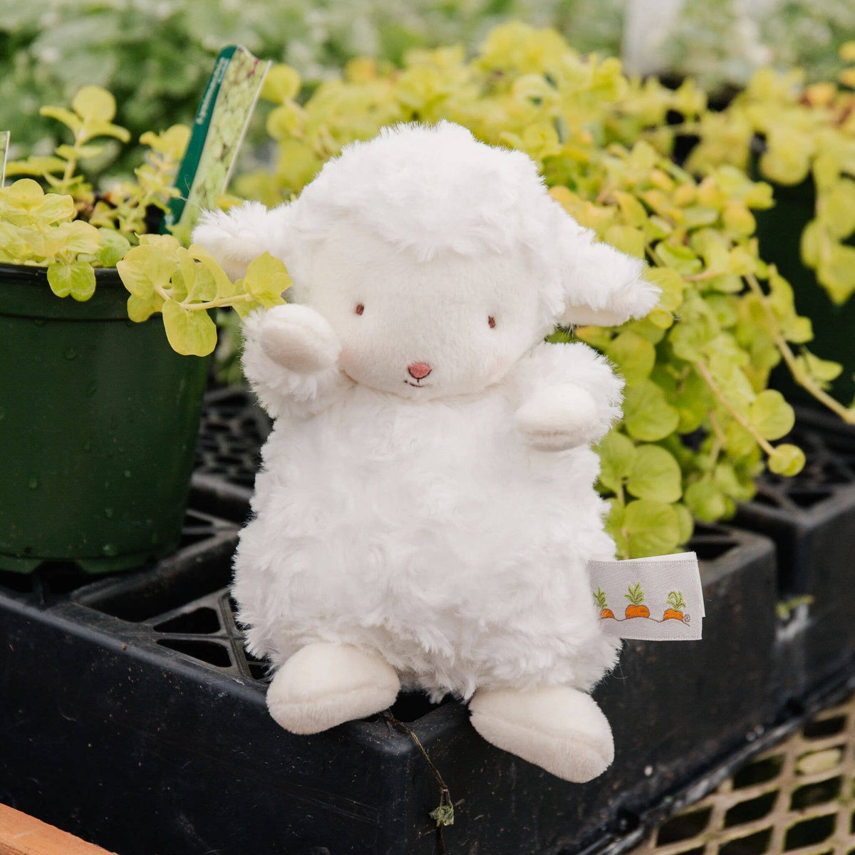 Wee Kiddo Lamb - OLIVIA'S