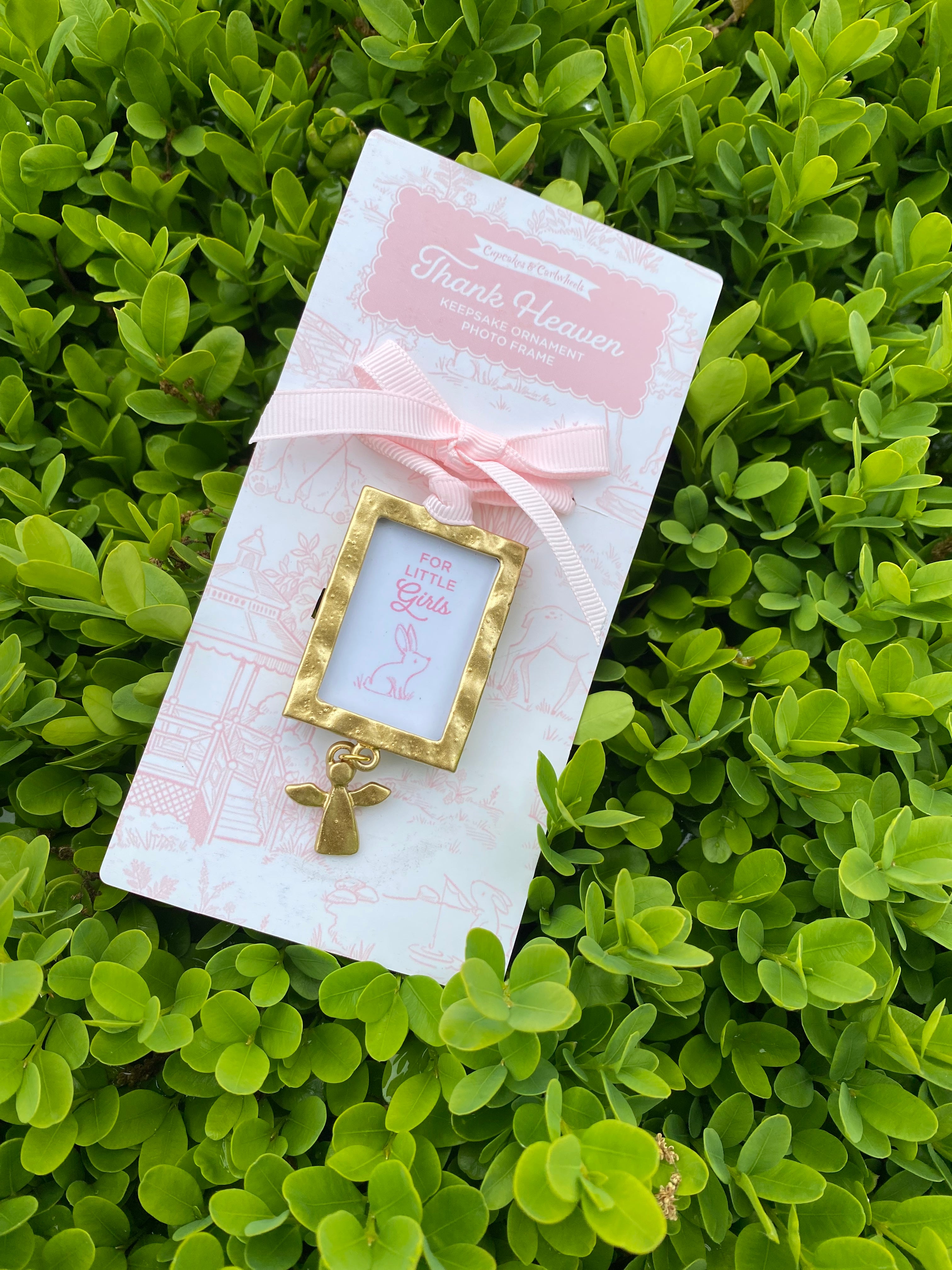 Ornament Frame Girl-pink
