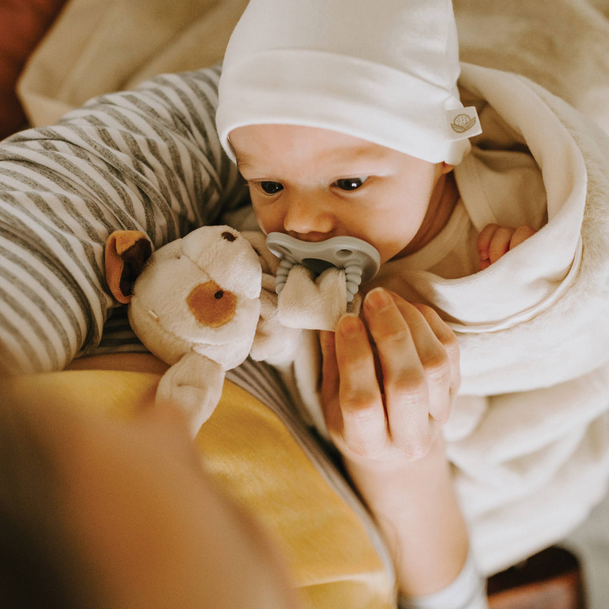 Skipit Puppy Silly Buddy