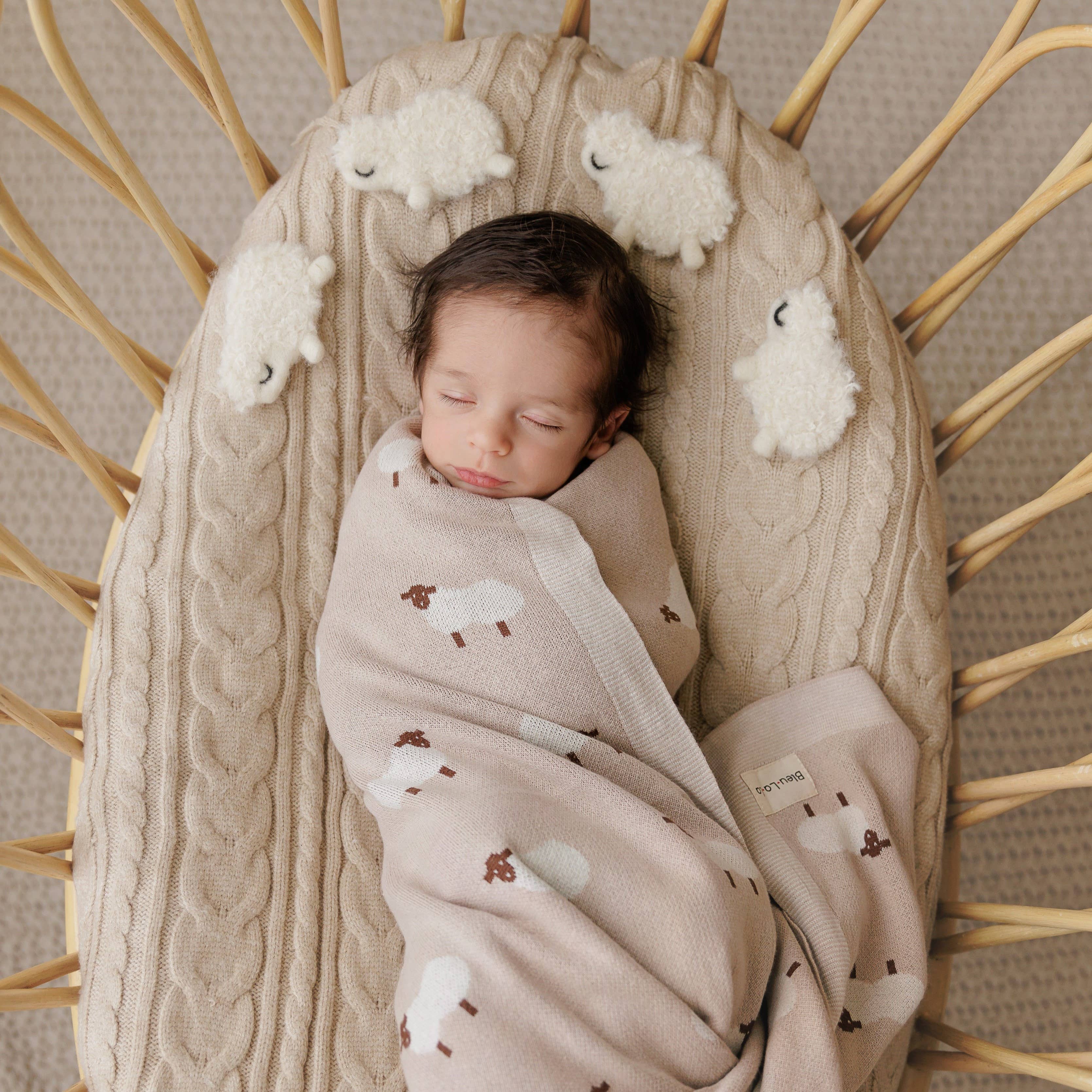 Newborn baby sleeping in a wicker basket with a textured blanket featuring cloud patterns.