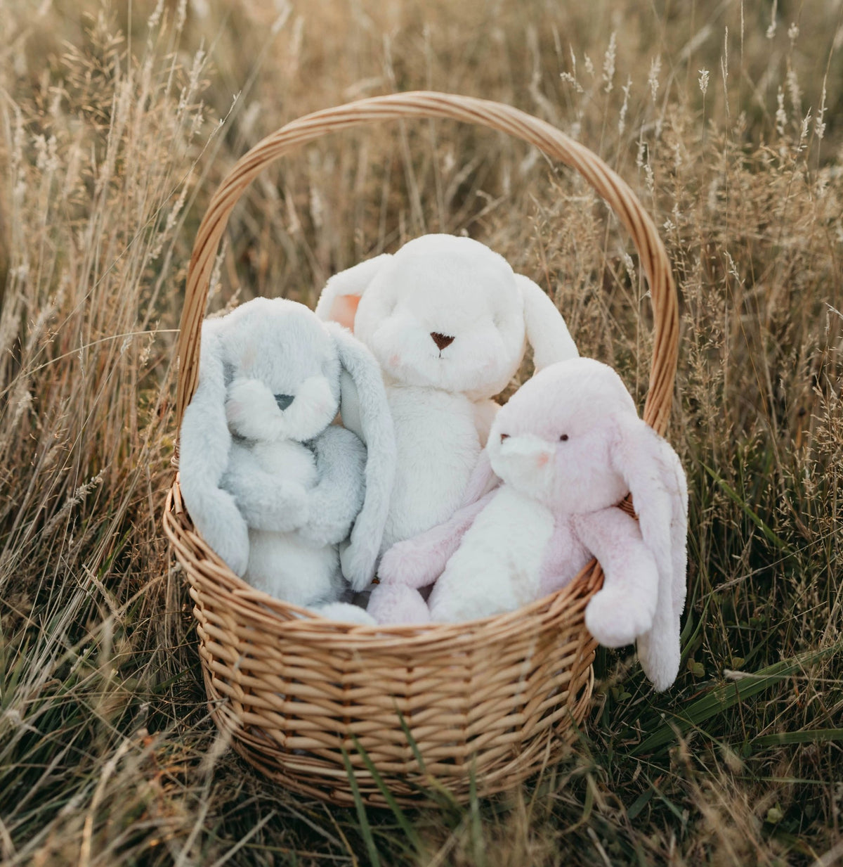 Little 12" Nibble Bunny - Pink - OLIVIA'S