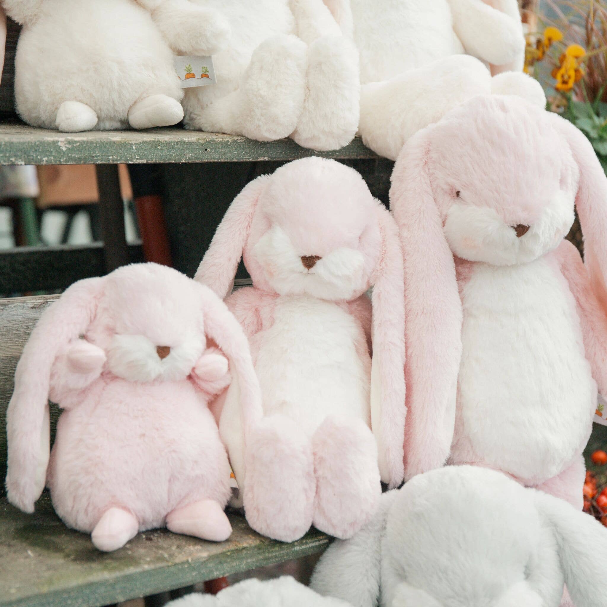 Tiny Nibble 8" Bunny - OLIVIA'S