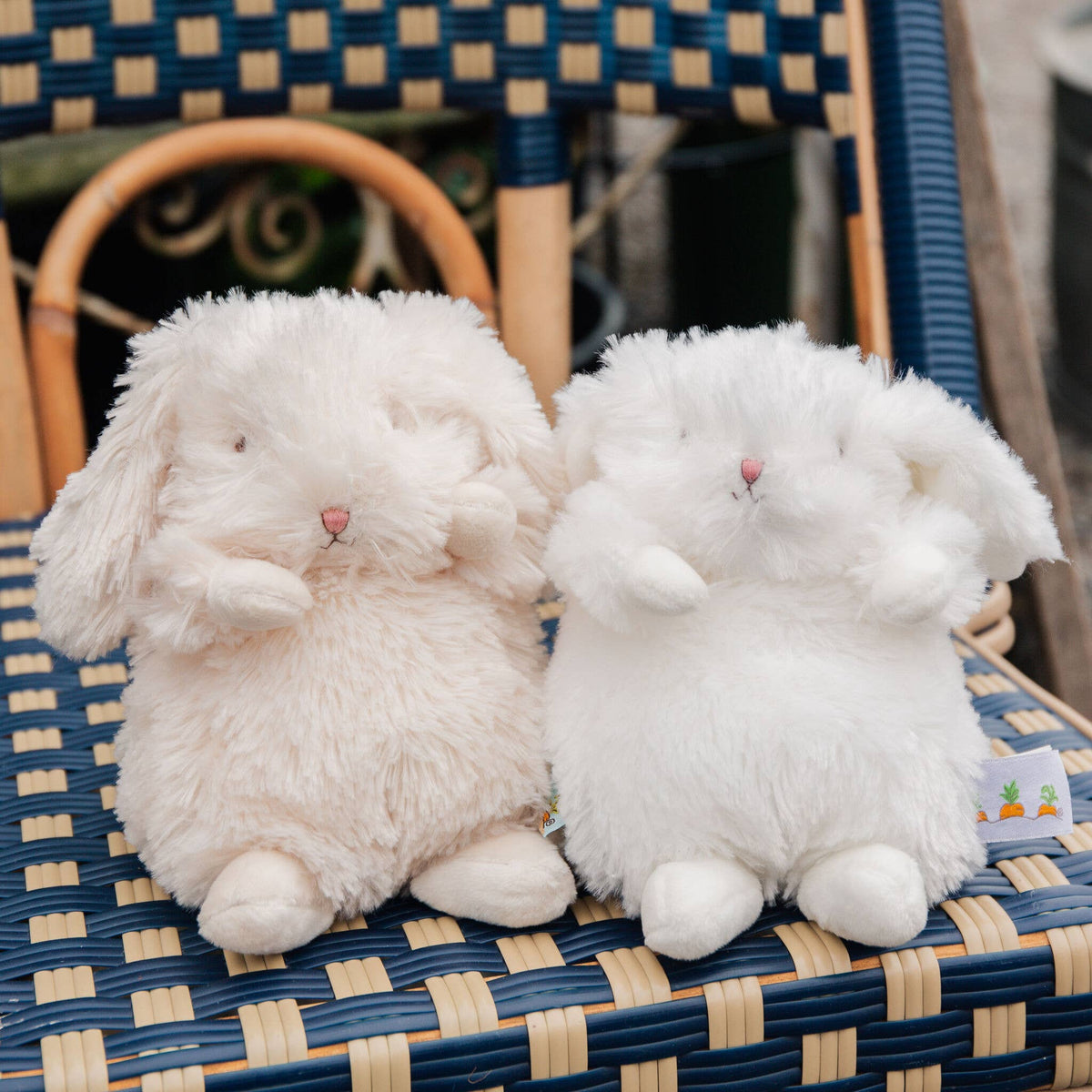 Wee Ittybit Bunny - OLIVIA'S
