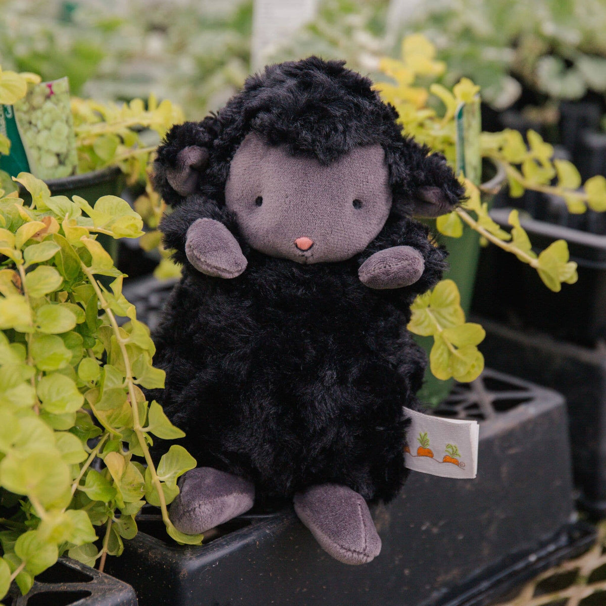 Wee Kiddo the Lamb - Black - OLIVIA'S